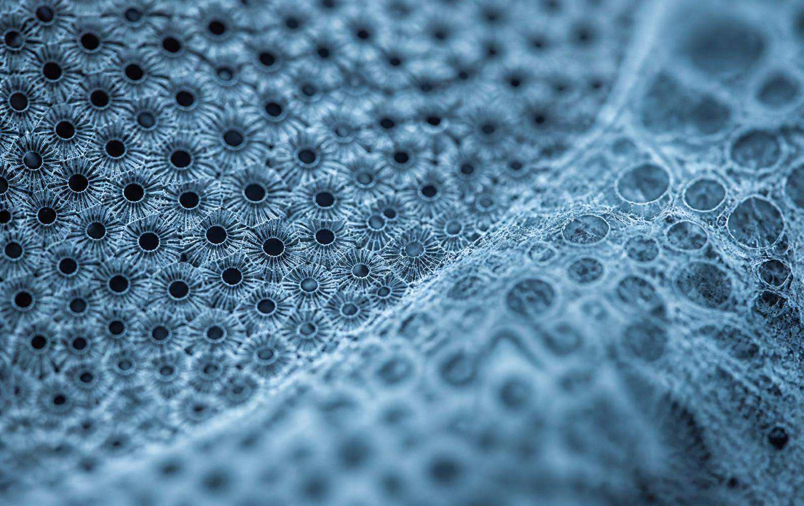 Texture abstraite d'inspiration microscopique, utilisée comme illustration